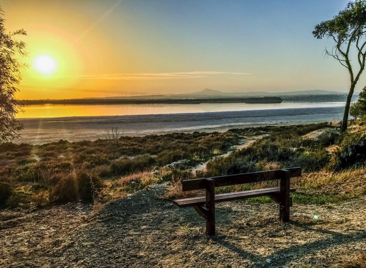 Larnaca Saltlake Cyprus