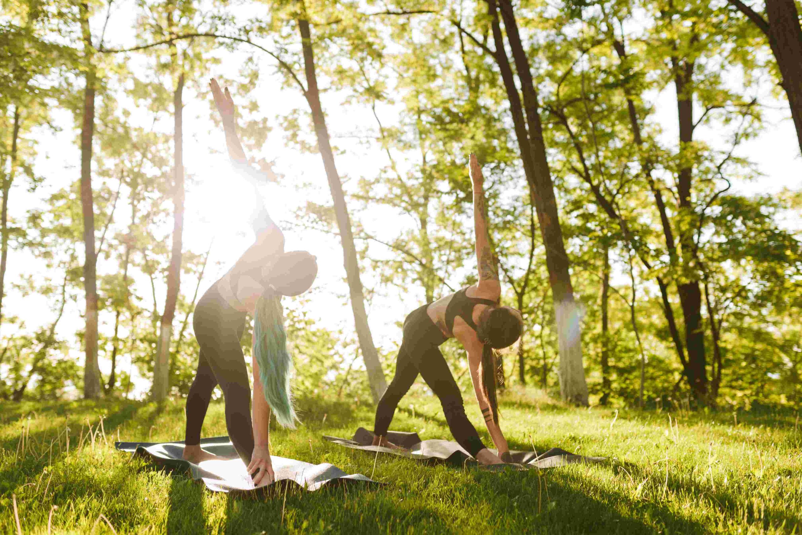 photo of young ladies training yoga poses together 2023 11 27 05 19 12 utc (1)